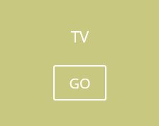 P_Tv