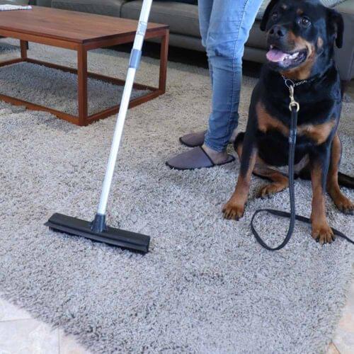 White Magic Pet Hair Broom - Image 13