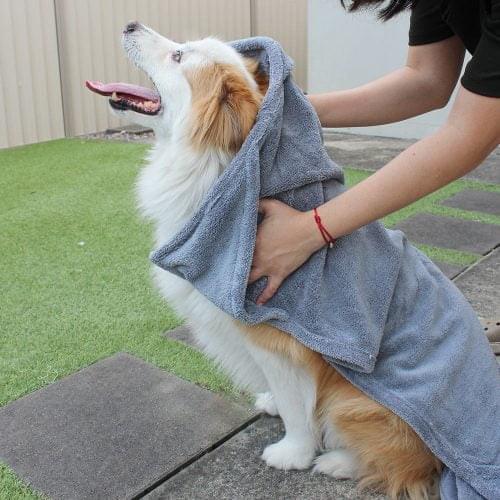 Dog Grooming/Cleaning Bundle - Image 8
