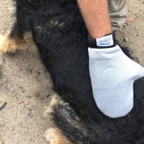 Dog Grooming/Cleaning Bundle - Image 9