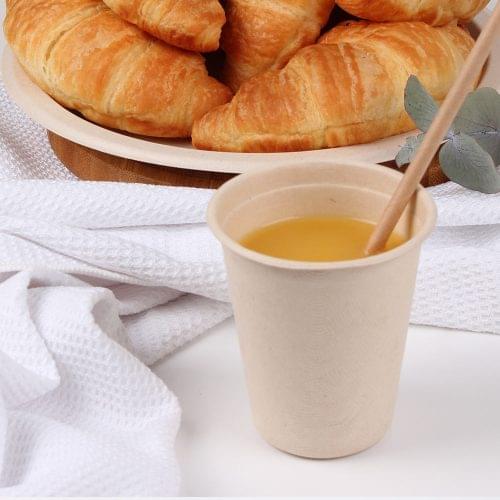 Eco Basics Biodegradable Sugarcane Cup - 10pcs - Image 4