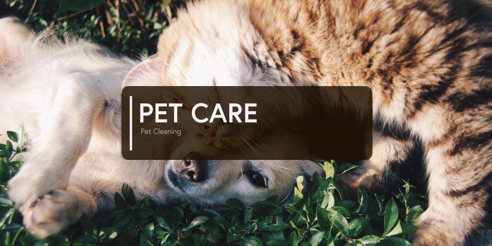 Pet Care