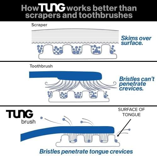 Tung Brush - Image 3