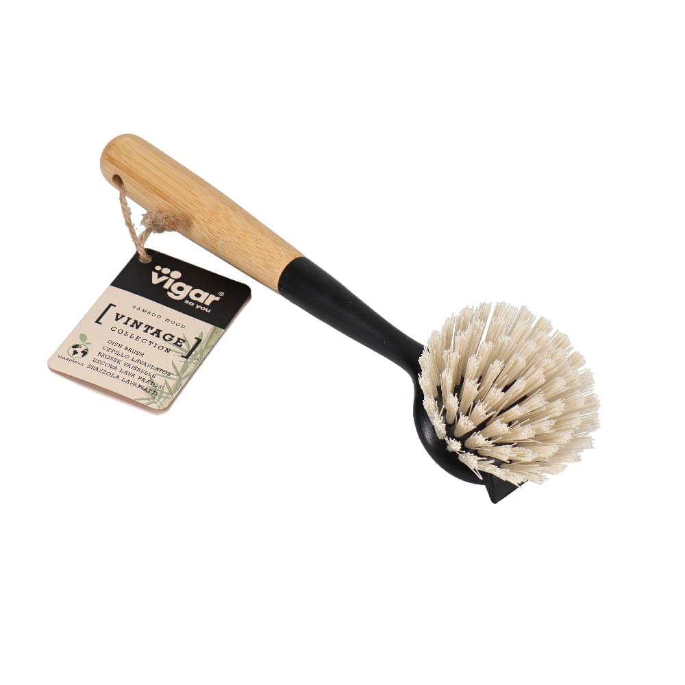 Dish Brush